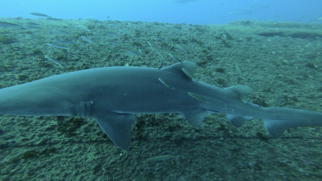 116aeeb4-32ff-4812-aaf6-f45ba8ffdf76