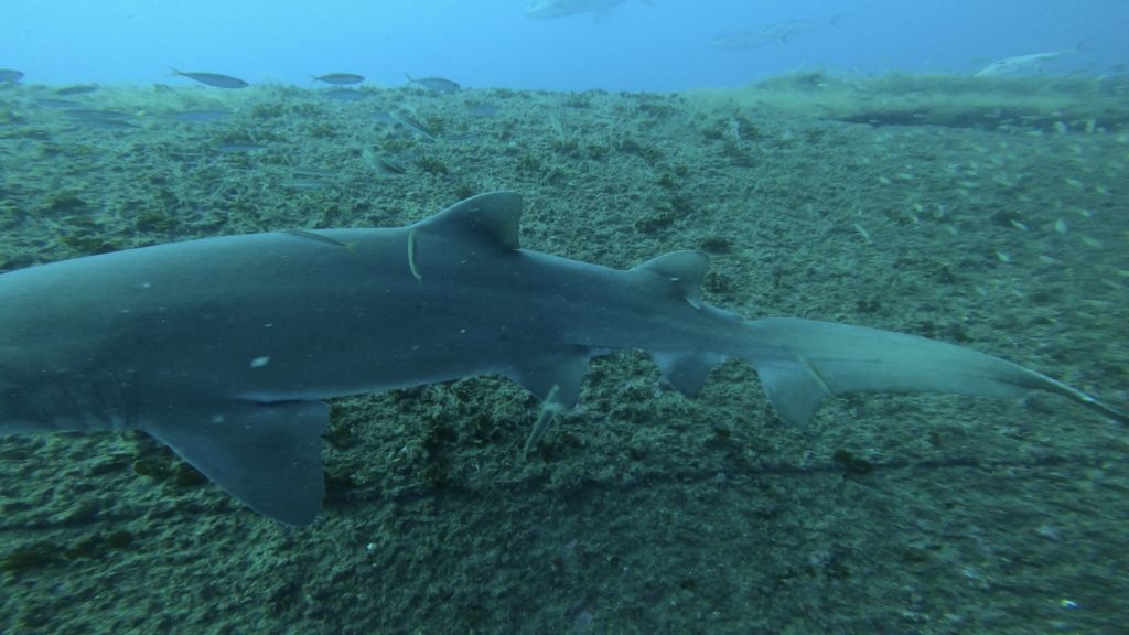 116aeeb4-32ff-4812-aaf6-f45ba8ffdf76