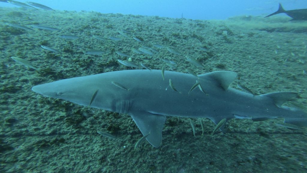 116aeeb4-32ff-4812-aaf6-f45ba8ffdf76