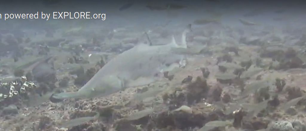 c0257a5b-5122-4bda-9038-8354c013387d