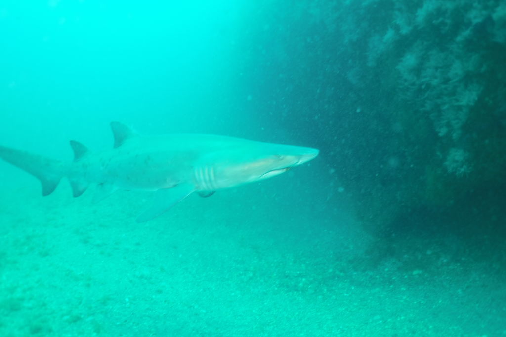 5ca13b34-5ea8-4774-b8c0-0c06ffb496af