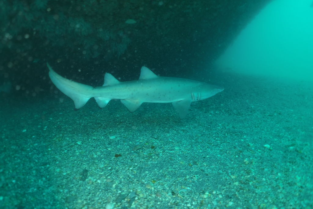 5ca13b34-5ea8-4774-b8c0-0c06ffb496af