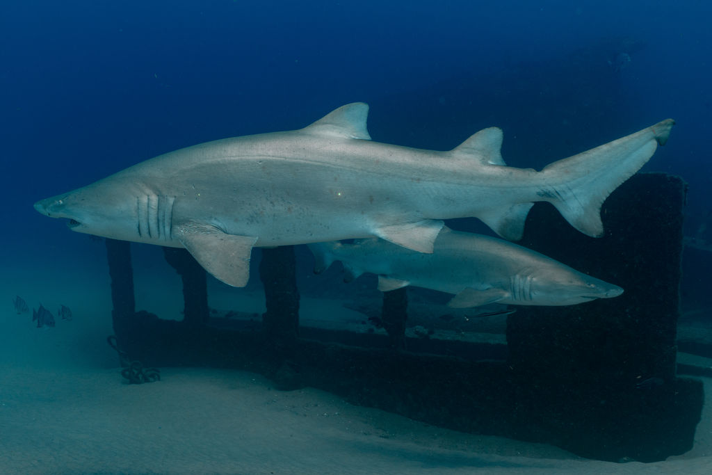 5cdbfab7-82e7-4b60-84b9-1e8b1ed4cc57