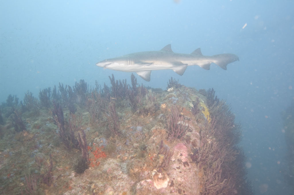 5c0c44b2-04d1-4c08-b1e6-410f63b49dfa