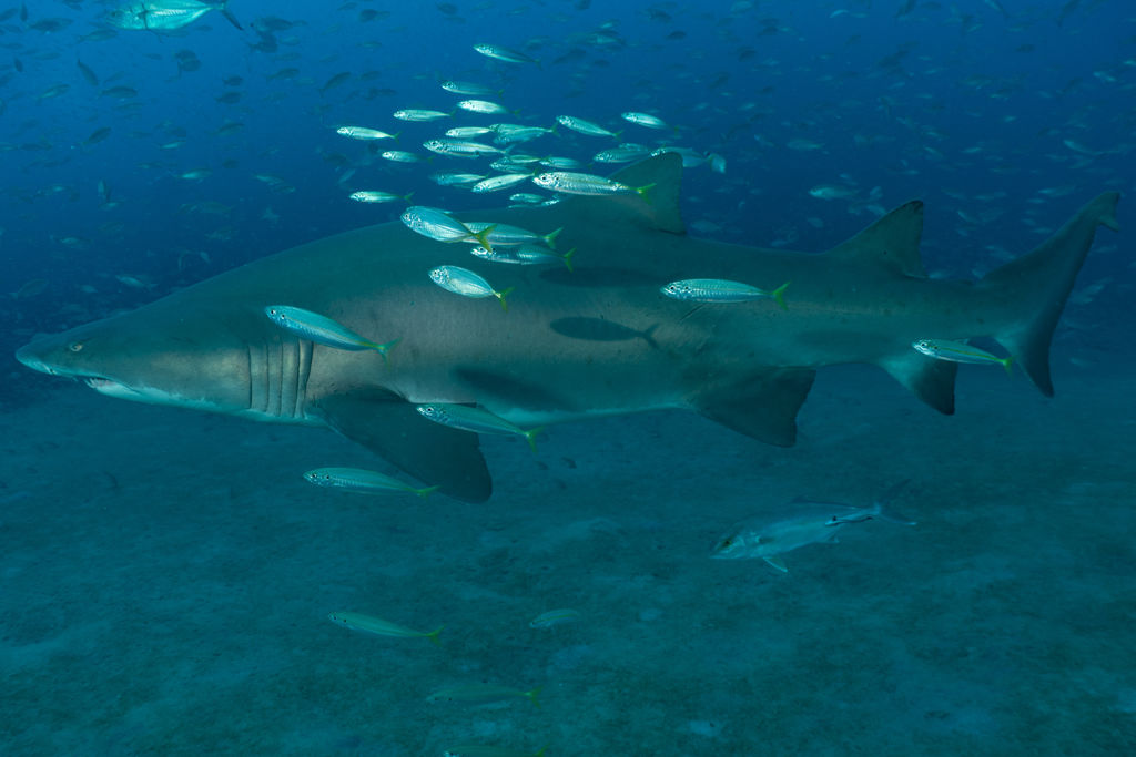 aefb63a4-ebce-4601-8afb-3b5119bf20db