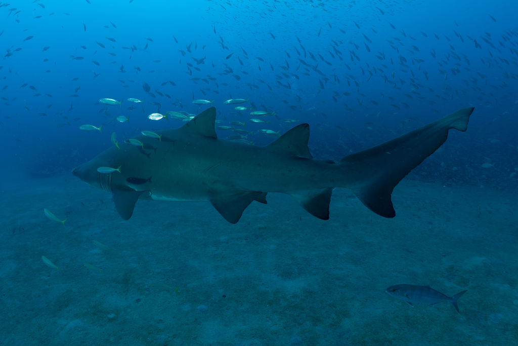 aefb63a4-ebce-4601-8afb-3b5119bf20db