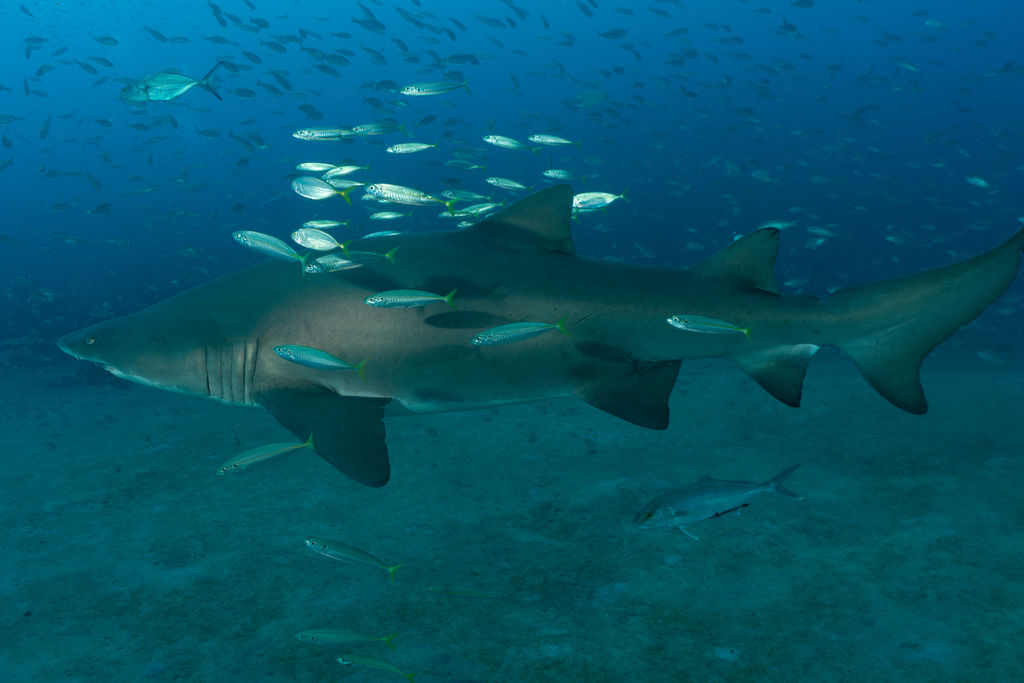 aefb63a4-ebce-4601-8afb-3b5119bf20db