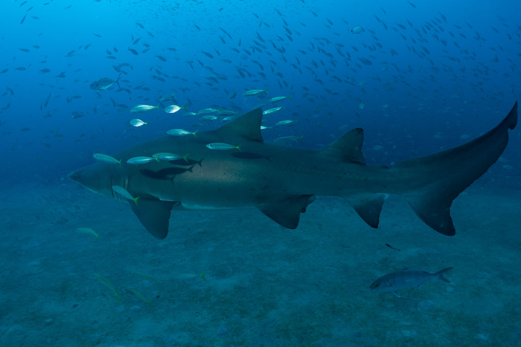 aefb63a4-ebce-4601-8afb-3b5119bf20db