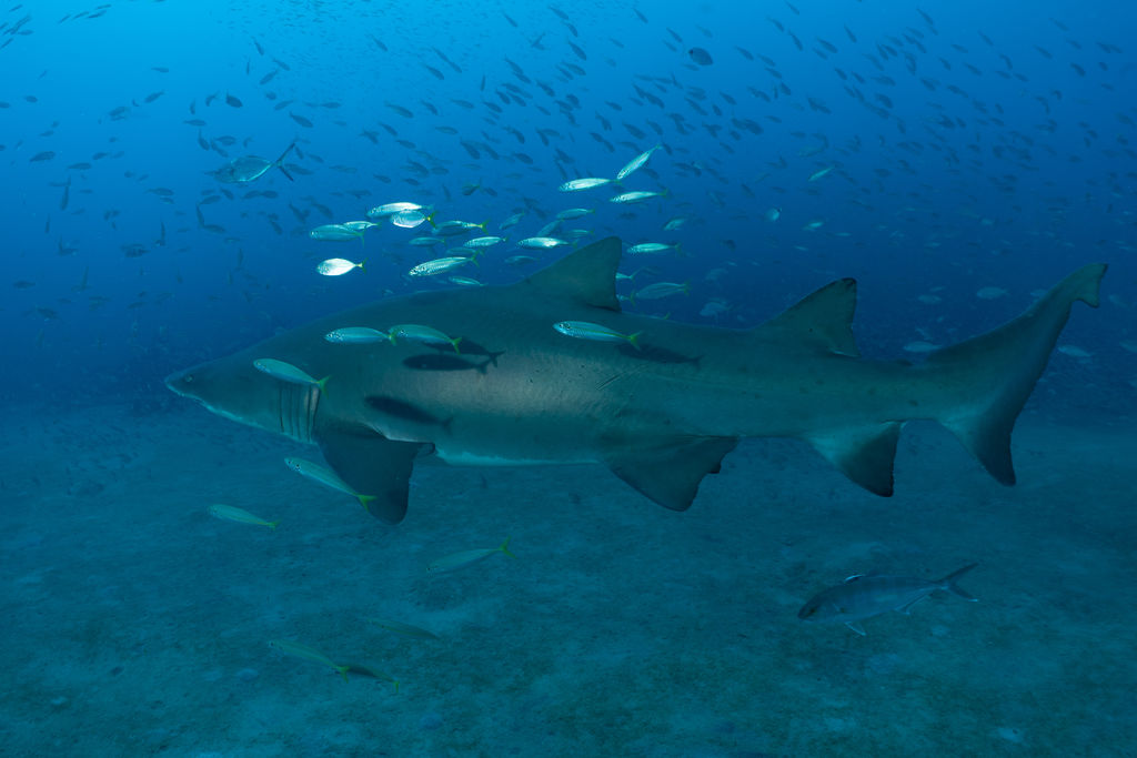 aefb63a4-ebce-4601-8afb-3b5119bf20db