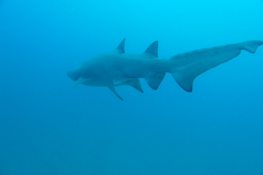 3c0ff701-6d51-45e0-b151-fdfde04ac86f