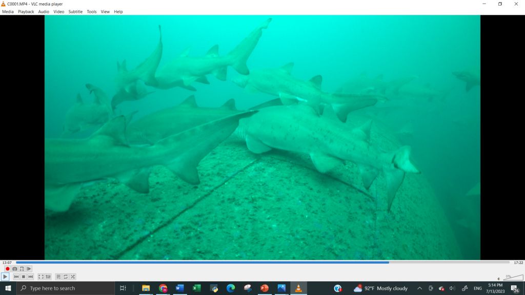 0f82524c-e646-405a-9d69-9aadd3981c35