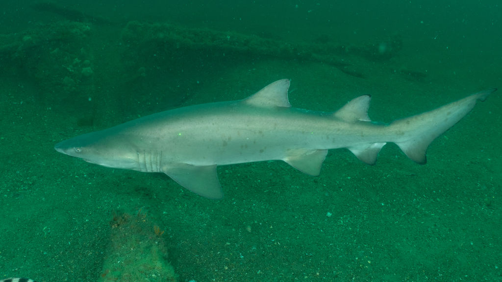 53c1dee7-6b0c-4c4f-9804-356723c9efb3