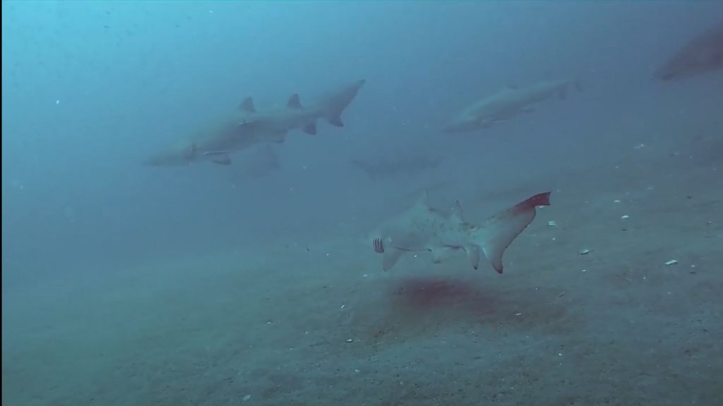 d8bd4005-3485-4417-90fc-48d88b6d25b9