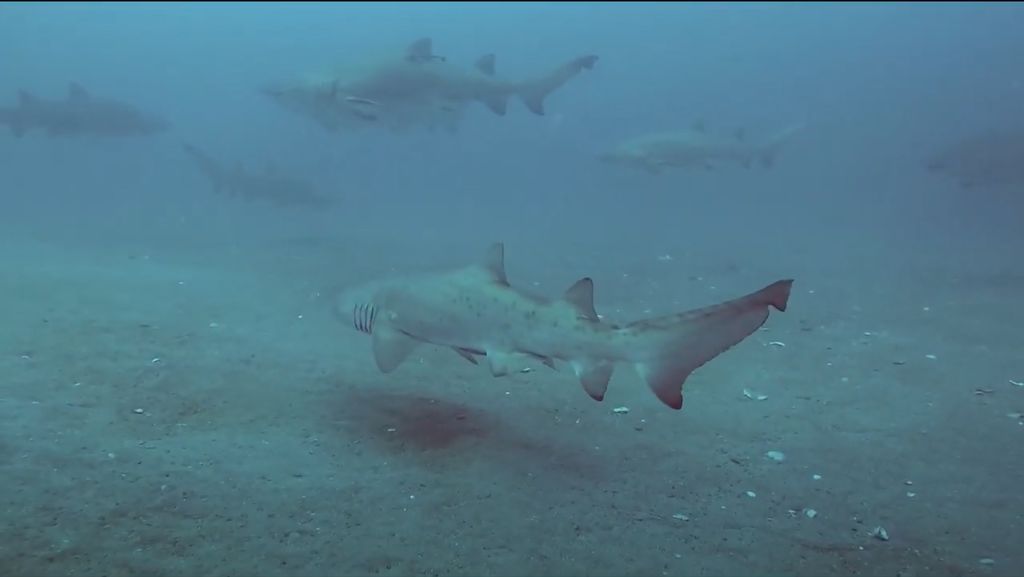 d8bd4005-3485-4417-90fc-48d88b6d25b9