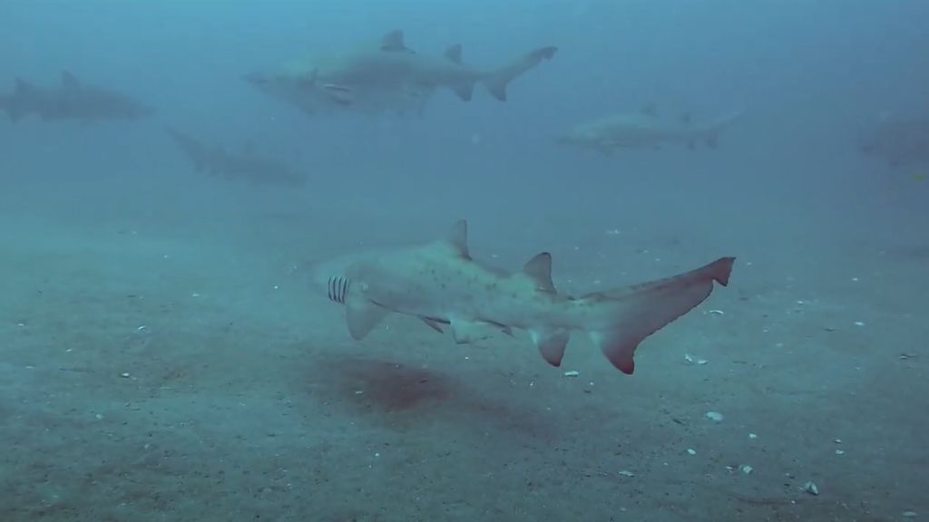 d8bd4005-3485-4417-90fc-48d88b6d25b9