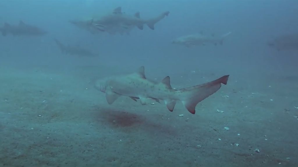 d8bd4005-3485-4417-90fc-48d88b6d25b9