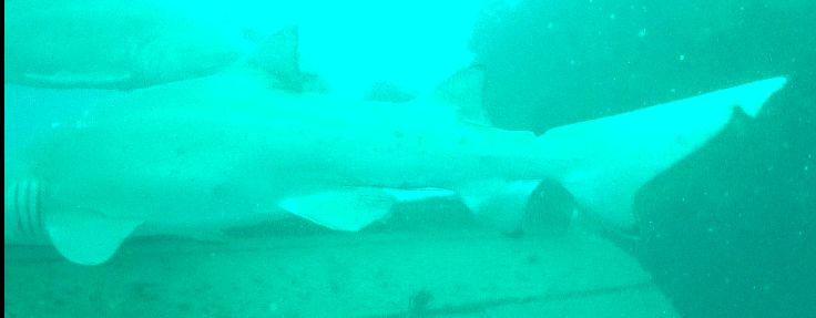 7a1dc81d-475b-4c6c-9627-fa44cf1bf8b6