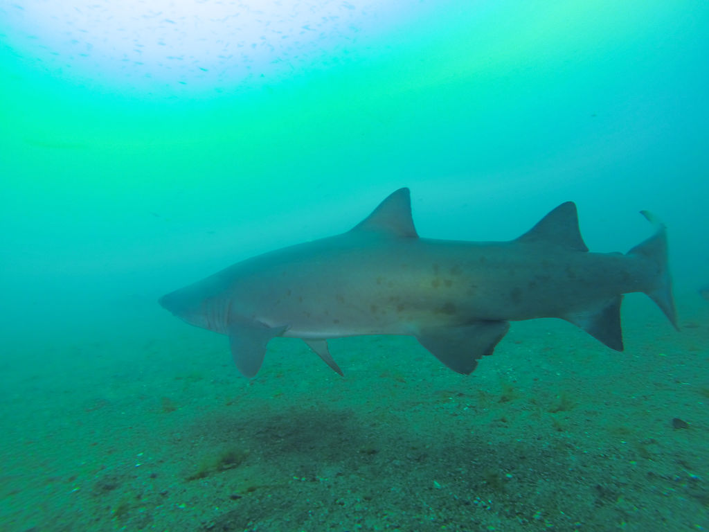 8d41019a-04e3-4b76-b8d8-c88e0ca27944