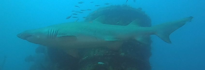 0627800a-179c-40b9-a4ff-76a0602a36c6