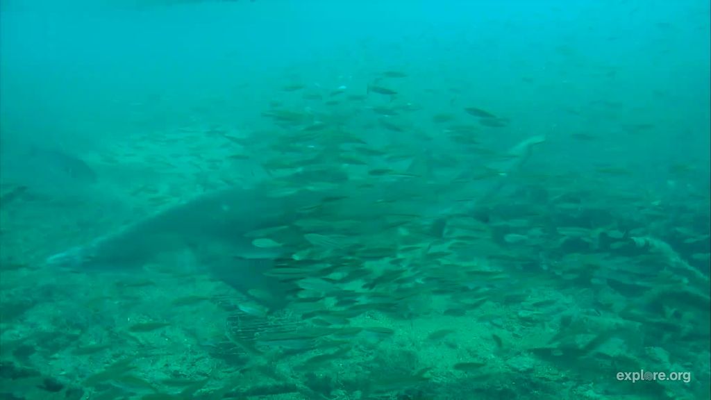 b9122a6b-6126-4a80-b613-d223bb159cb2