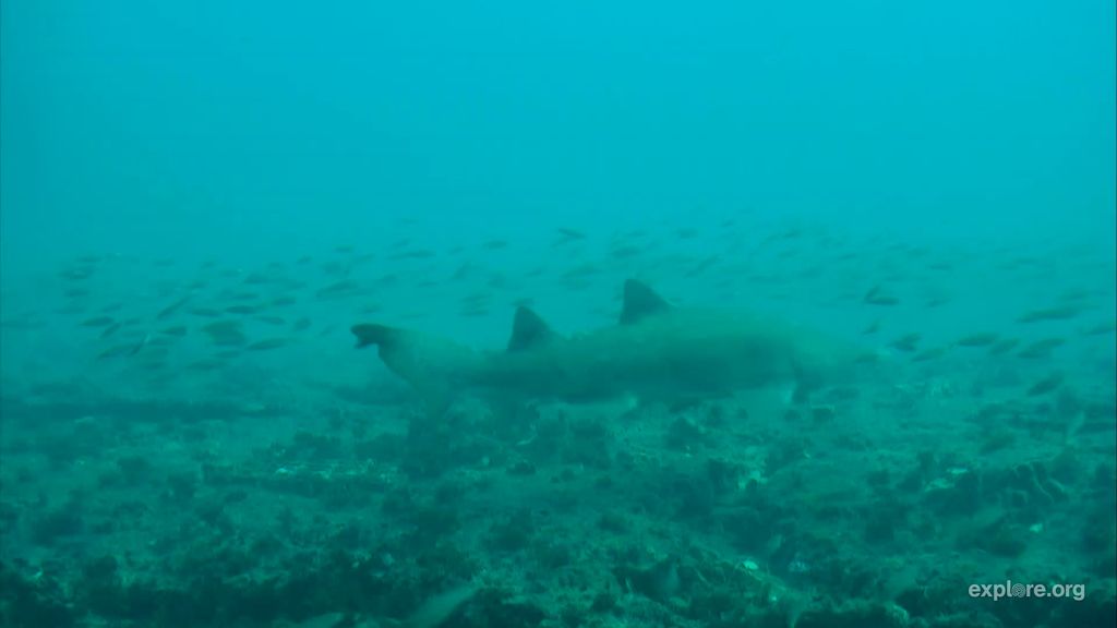 b9122a6b-6126-4a80-b613-d223bb159cb2