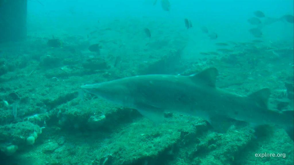 b9122a6b-6126-4a80-b613-d223bb159cb2