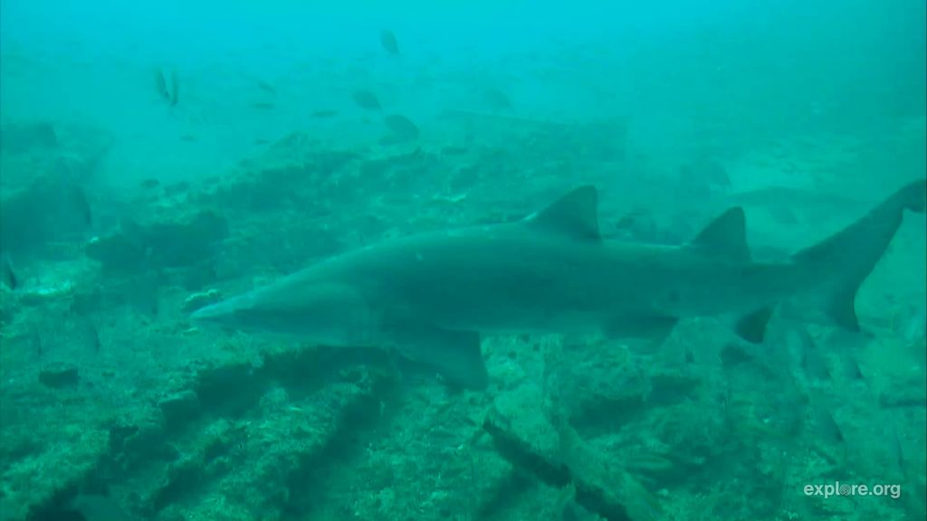 b9122a6b-6126-4a80-b613-d223bb159cb2