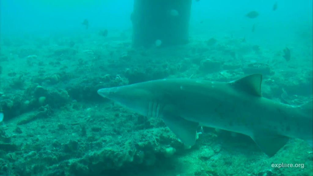 b9122a6b-6126-4a80-b613-d223bb159cb2