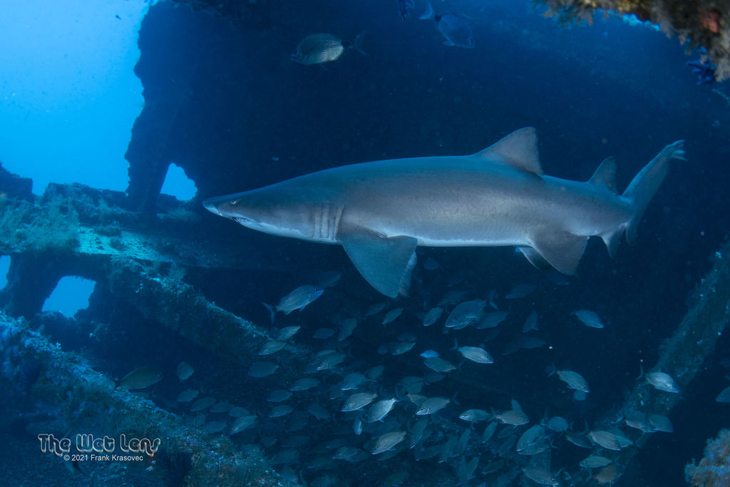 85646f69-538e-45ef-a8fb-d0aaca21b494