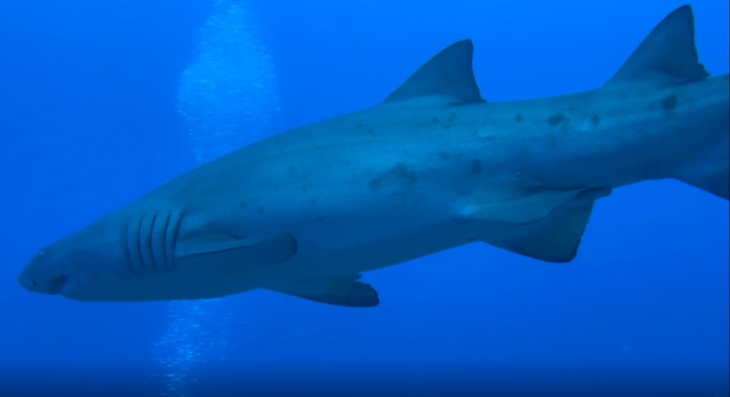 32f0cf74-bfb7-43c6-a035-1df561880206