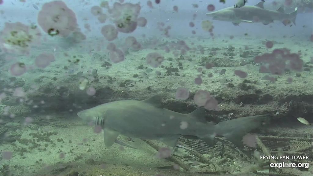 8bee6e83-ae67-46b9-8818-a4fb17411231