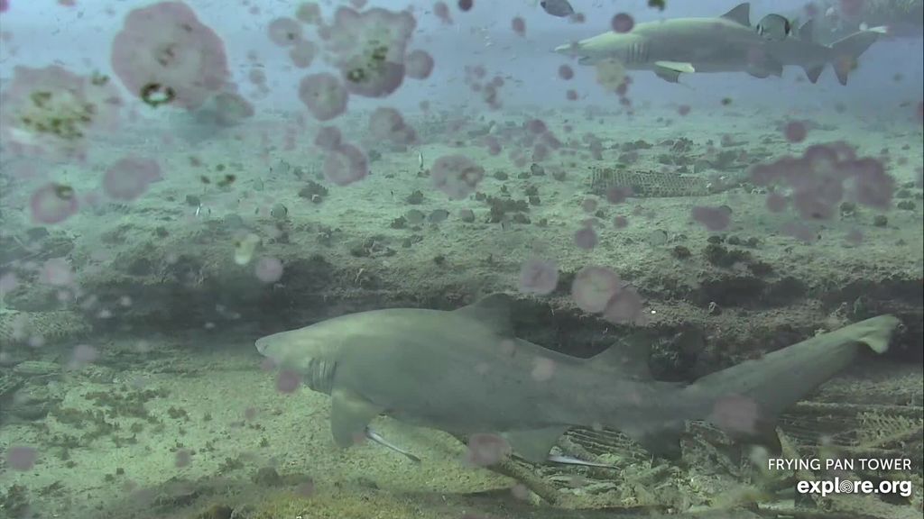 8bee6e83-ae67-46b9-8818-a4fb17411231