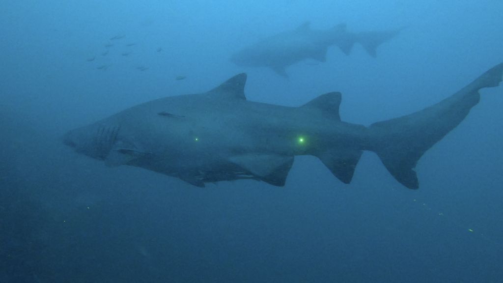 3ebdd925-1319-4366-92e1-976deade6f28