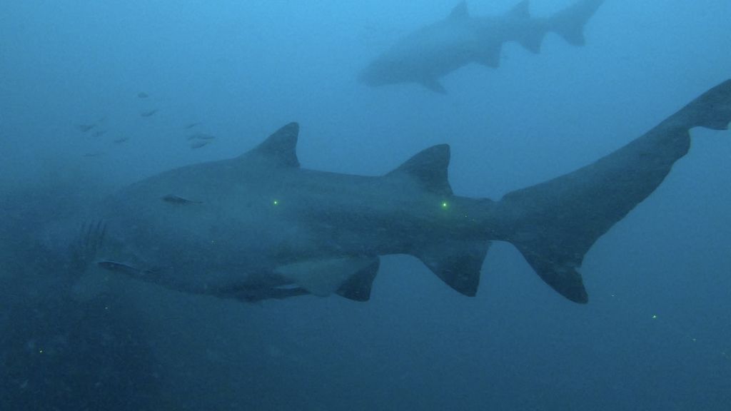 3ebdd925-1319-4366-92e1-976deade6f28