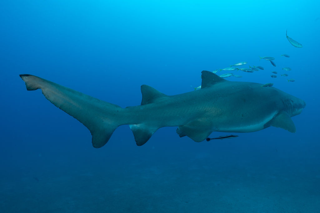 e3f17bdf-3a05-4a7c-bb43-bcac5ba624eb