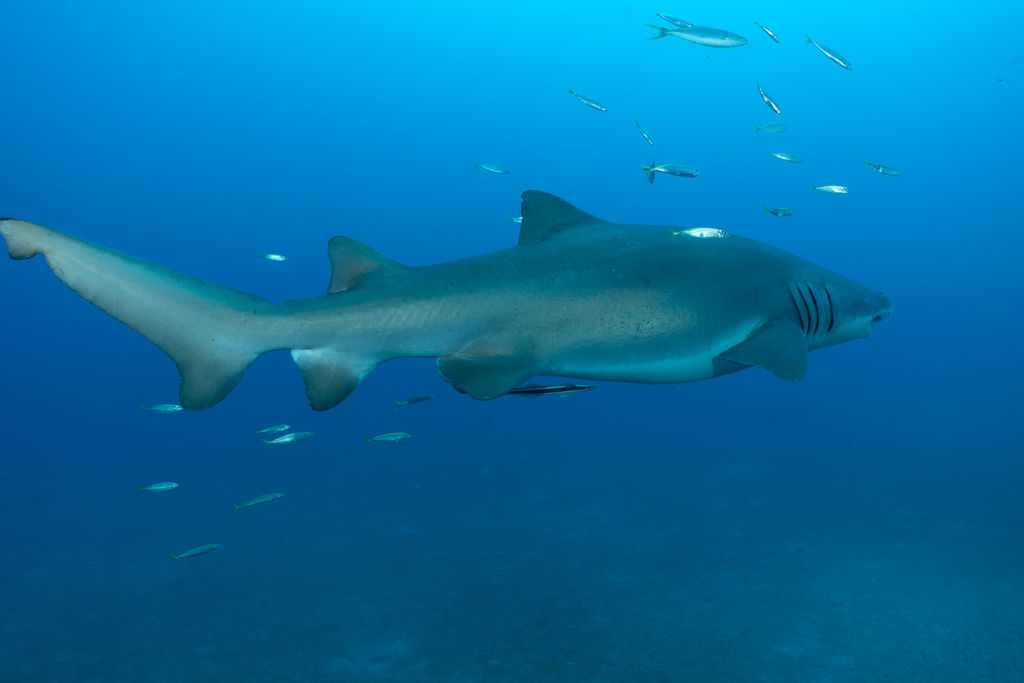 e3f17bdf-3a05-4a7c-bb43-bcac5ba624eb