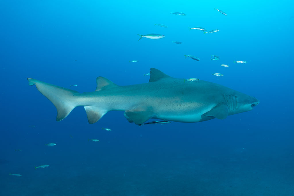 e3f17bdf-3a05-4a7c-bb43-bcac5ba624eb