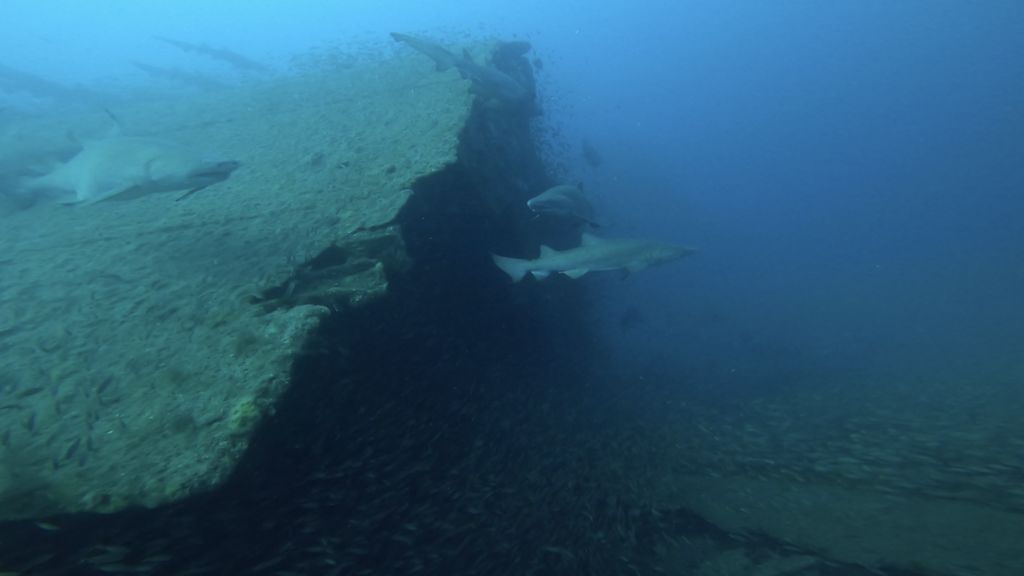 23f0d7af-53d2-4c37-bbfa-cd0a98f5dd93