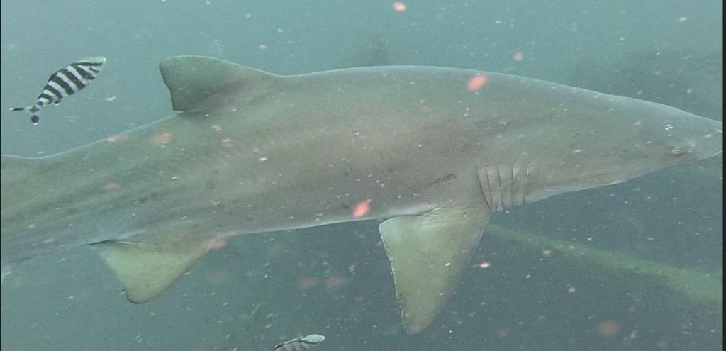 b2829143-7049-4ed7-9833-64af036a210e