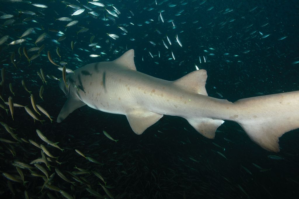 0128c283-d75f-47bb-b16a-d4d2356ff9f8