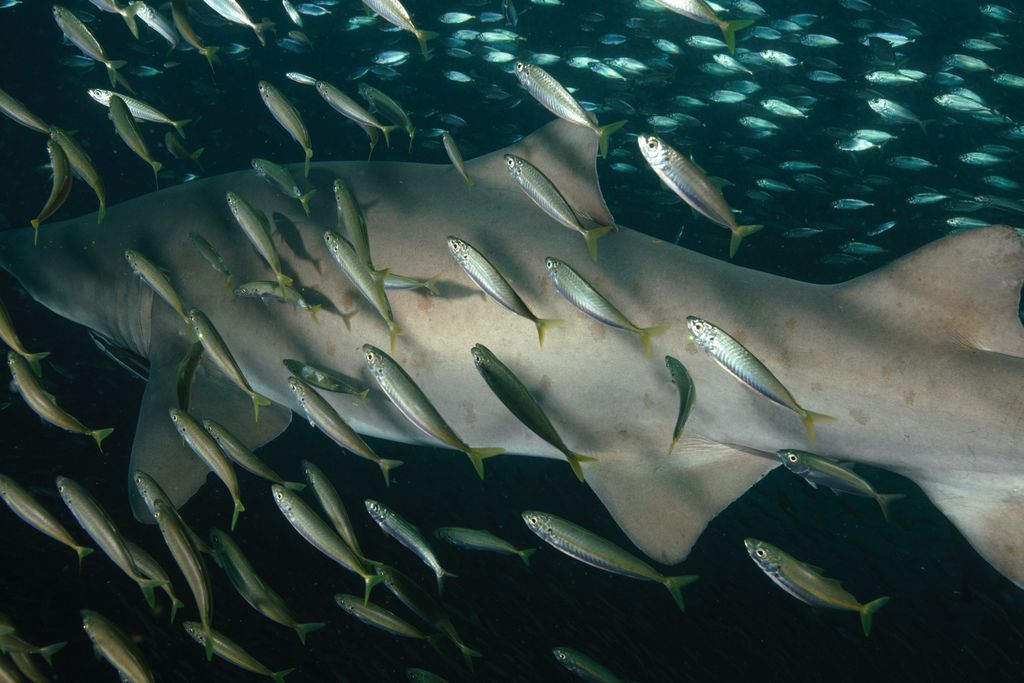 0128c283-d75f-47bb-b16a-d4d2356ff9f8