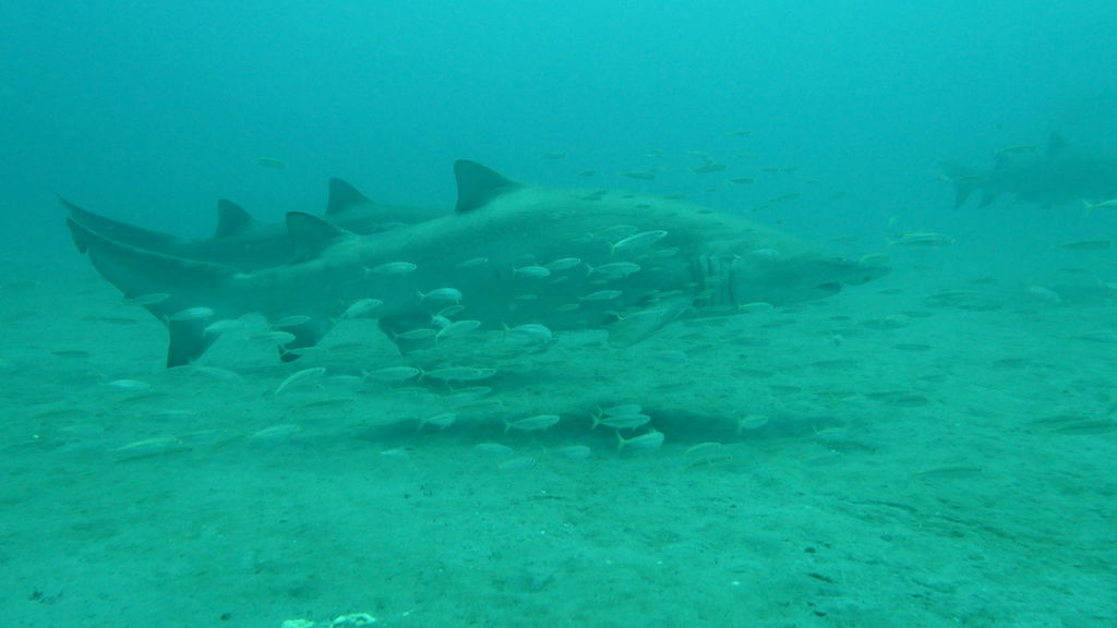 302be0e6-0d31-414a-9609-06f2d972d67d