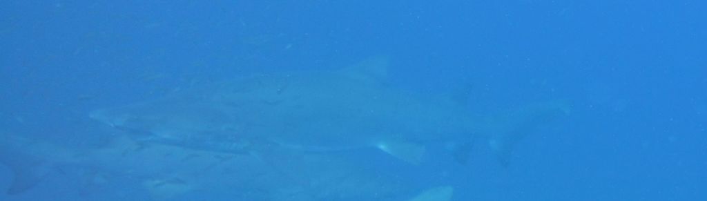 f5f1c3d1-351d-49b2-85d0-c65335ae0cdd