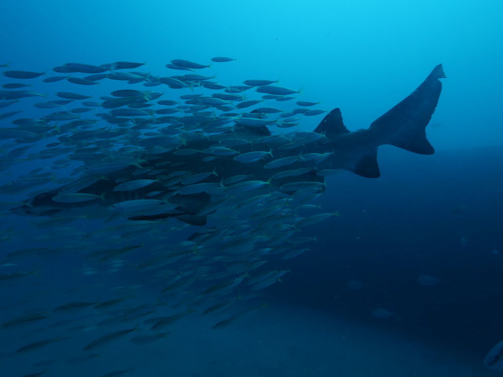 39cc4854-1dee-482b-80fb-3a7fef41229a