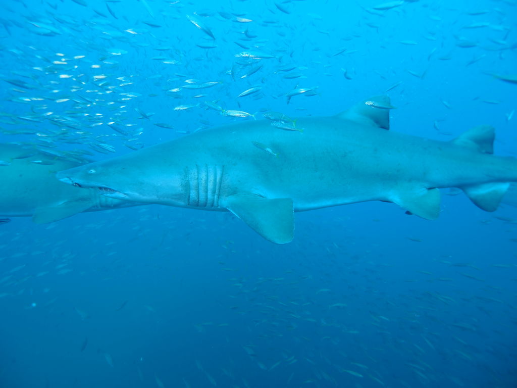 6b3bce10-db8f-4b03-9862-c943ca62f300