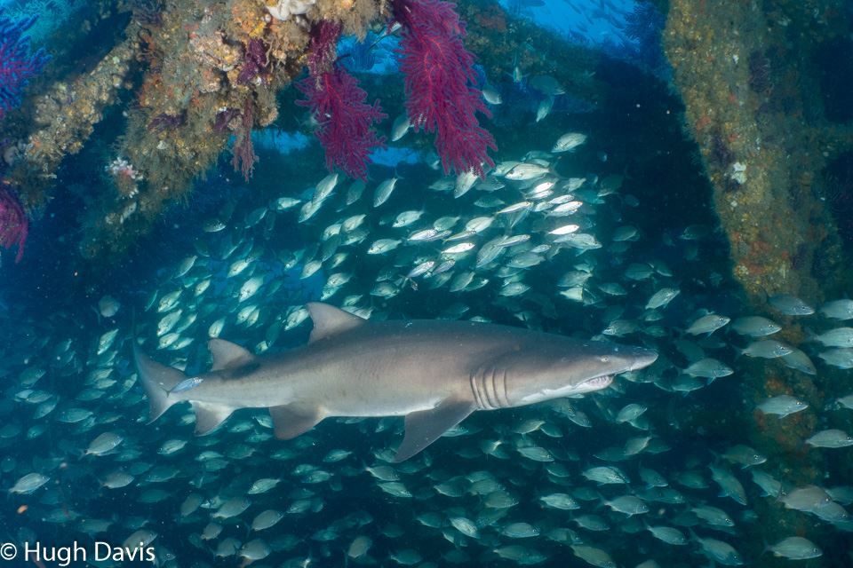 0dc3e585-8f49-4be0-96bd-30c3401effc5