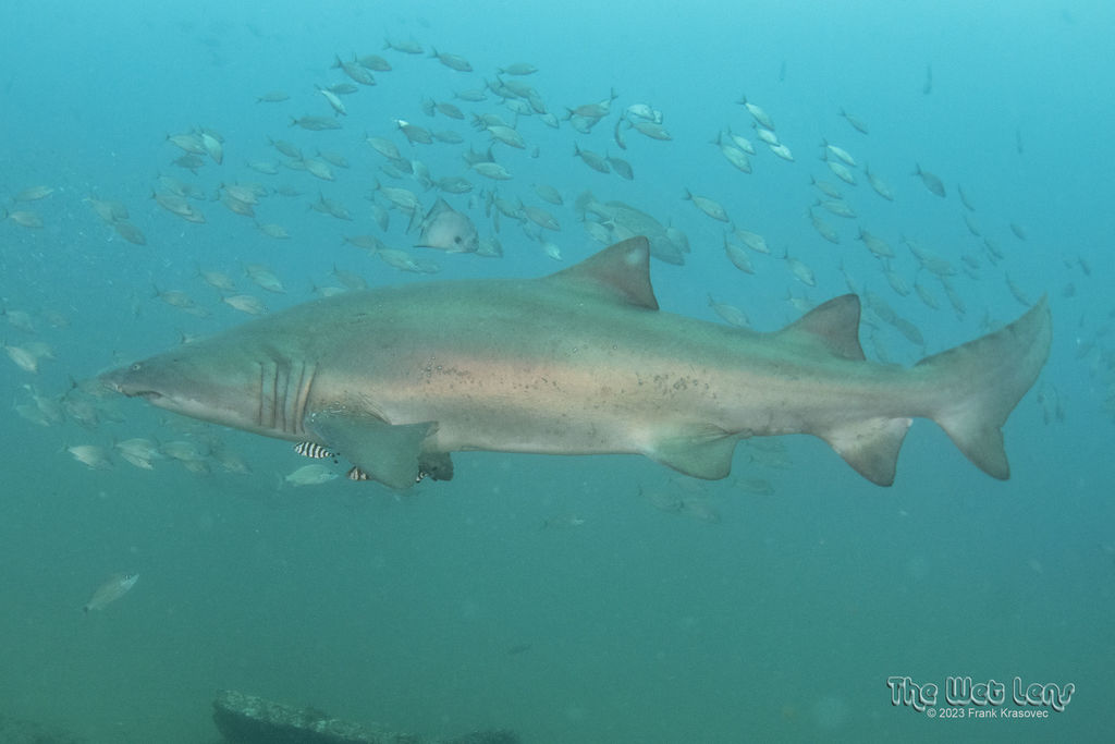 ab3b4a85-b0e5-46c6-92de-103d5ebb3ff0