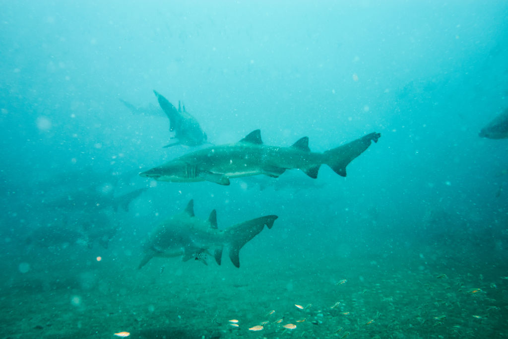 fb7ef6c9-6712-415c-bbd2-797412a05a16