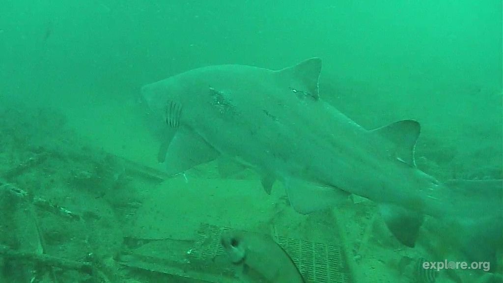 74fdd2f3-a501-4b11-bd2b-ac54148c9196