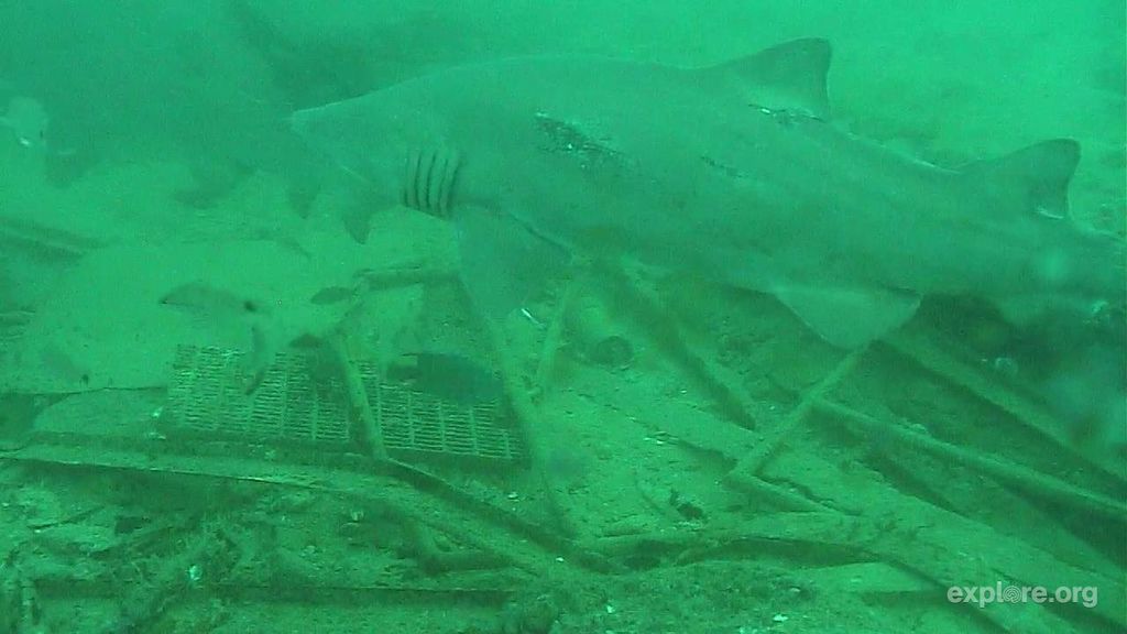 74fdd2f3-a501-4b11-bd2b-ac54148c9196